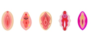 योनि के प्रकार