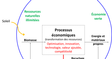 Schéma de la bioéconomie moderne, dans laquelle l'innovation est centrale et la sobriété oubliée