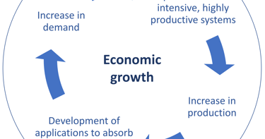 Illustration of the vicious cycle triggered by economic growth