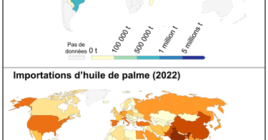Cartes mondiales de la production et des importations d'huile de palme par pays