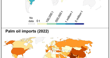 Global maps of palm oil production and imports by country