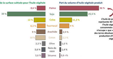 Comparaison de la surface cultivée et du volume d'huile produit entre différentes cultures