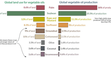 Comparison of cultivated area and oil production volume across different crops