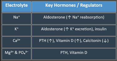 Electrolyte regulation