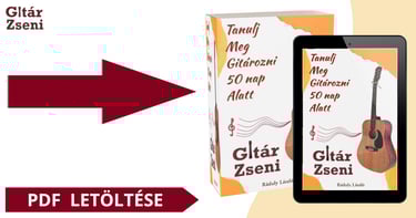 Tanulj meg gitározni 50 nap alatt - könyv
