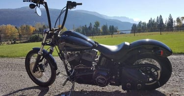 Custom Harley Handlebars