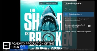 activate closed captions on catchontv