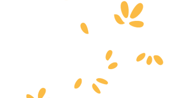 pétales de fleurs qui s'envolent