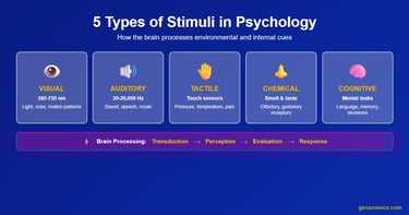 Types of stimuli infographic: visual light, auditory sound, touch, smell/taste, cognitive stimuli