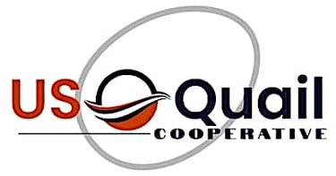 buy and sell coturnix quail at US Quail Cooperative USQuailCoop.com