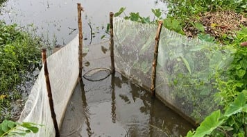 small water area with bamboo supports and net. 