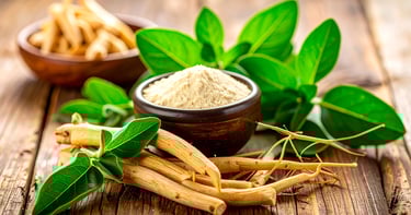 Raíces y polvo de ashwagandha, su consumo puede provocar tirotoxicosis