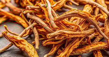 Raices de harpagofito, excelente antiinflamatorio y reductor del dolor reumático y muscular