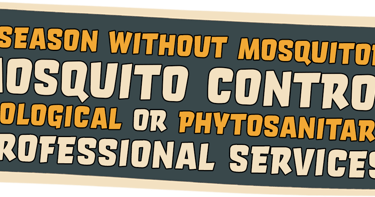 Mosquito in Beaulieu sur mer Banner