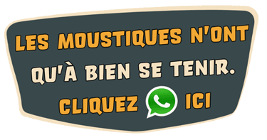 moustiques-tigres Cagnes-sur-Mer