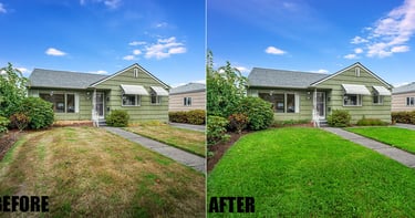 a house with a lawn and a house with a lawn