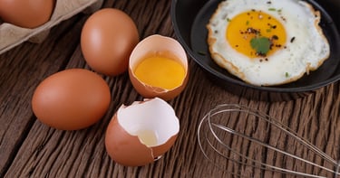 Huevos, los ovoproductos son productos derivados del huevo