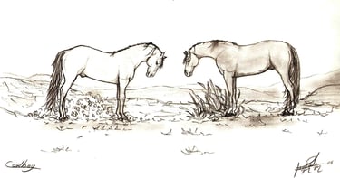 Desenho a lápis de cavalos de Jaum de 2004