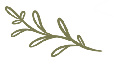 a branch of olives with leaves
