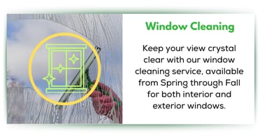 Window cleaning service for your home