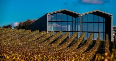 un vignoble avec une grande fenêtre de verre et une vue sur le vignoble