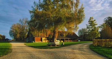 Choisir entre Wikipédia et Wikimonde