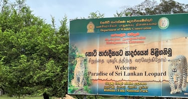 Yala National Park