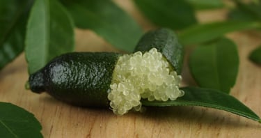 understanding beta-glucans