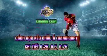Giải thích kèo châu á 0.25 0.5 0.75 trong cách đọc kèo bóng đá xd68