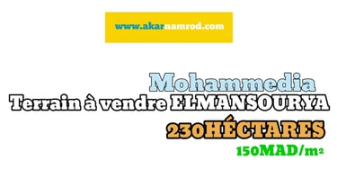Terrain à vendre mohammedia akar namrod