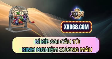 bi kip soi cầu xd68