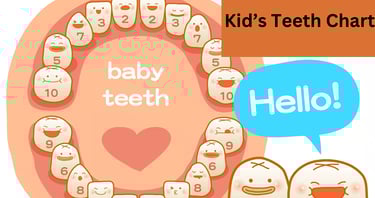 a image showing kids teeth chart