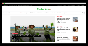 web portal berita