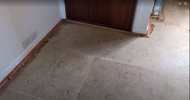 Carpet Up