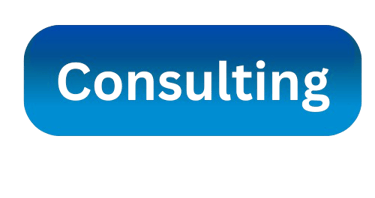 e commerce consulting
