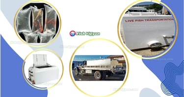 Transport Equipment