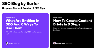 Image text of surfer seo blog