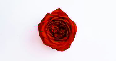 Cenadero La Rosa