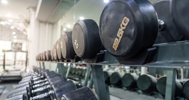 A long row of heavy black dumbbells arranged on a metal weight rack in a modern gym facility.