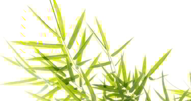 La Bulle Sauna Fauteuils de massage