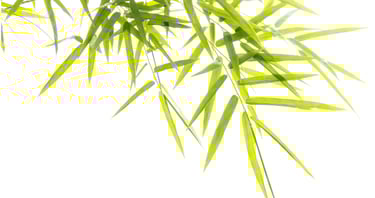 La Bulle Sauna Espace spa