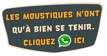 Villeneuve-Loubet et ses moustiques-tigres