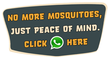 WhatsApp mosquito control contact banner