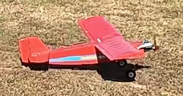 Dave S Little Red 2nd