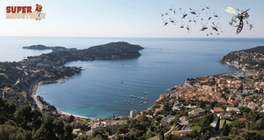 Traitement anti-moustique à Saint-Jean-Cap-Ferrat