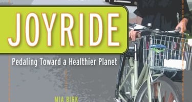 "Joyride" book cover photo