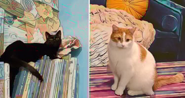 A black cat and a white and orange tabby cat