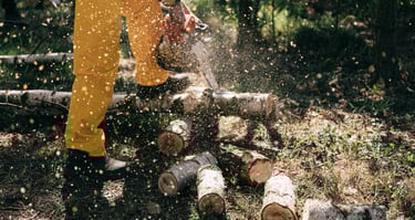 tree trimming and log cutting with a chainsaw