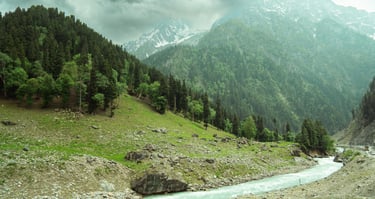 A scenic mountain river flows through a lush green valley under a cloudy sky in the Himalayas.