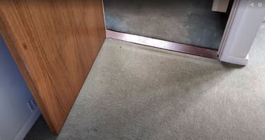 Carpet Before